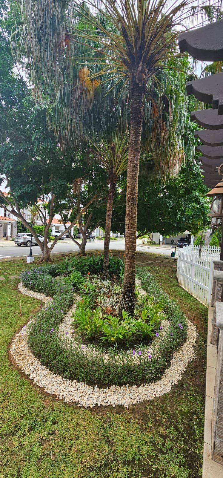 Jardín de piedras y follaje tropical — proyecto de paisajismo